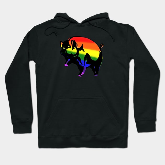 Rainbow Pig Hoodie by Harley Warren